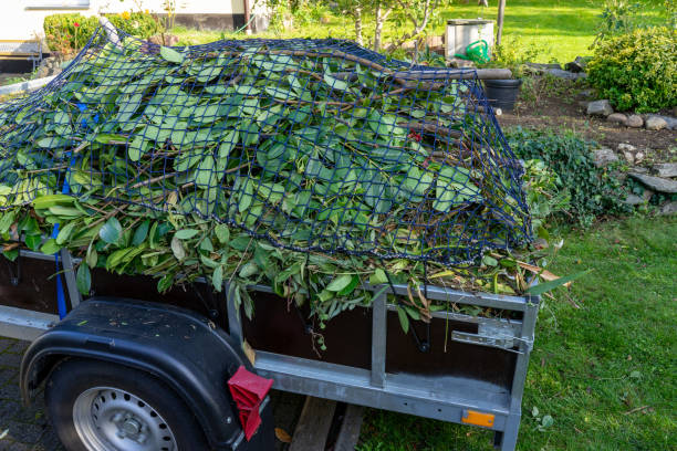 Best Same-Day Junk Removal Services  in Holbrook, AZ